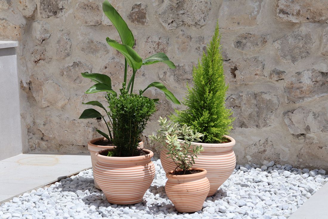 Macetas con plantas en terraza exterior